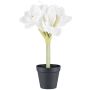 Fiore decorativo Amaryllis PRIFT in vaso decorativo, bianco, 30 cm