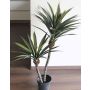 Palma di yucca artificiale DEWEY, 115cm