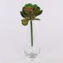 Echeveria gibbiflora artificiale ERNESTO, stelo, verde-rosa, 23cm, Ø13cm