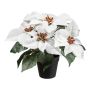 Fiore artificiale Stella di Natale FRIZO in vaso decorativo, bianco, 26cm