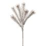 Ramo decorativo con spilli Protea ZANLI, congelato, grigio, 50 cm