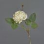 Fiore artificiale rosa cavolo VOMTE, effetto secco, beige, 45 cm