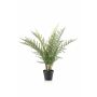 Pianta artificiale felce LOWTAN in vaso decorativo, crossdoor, verde, 65 cm