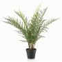 Pianta artificiale felce LOWTAN in vaso decorativo, crossdoor, verde, 65 cm