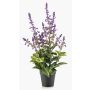 Pianta artificiale salvia SWORTA in vaso decorativo, fiori, lavanda, 45 cm