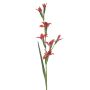 Fiore artificiale gladiolo GROWEL, corallo, 105 cm