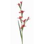 Fiore artificiale gladiolo GROWEL, corallo, 105 cm