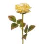 Fiore artificiale rosa DRINT, verde-crema, 60cm, Ø10,5cm