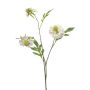 Ramo artificiale Scabiosa RUXTER, bianco, 60 cm