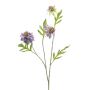 Ramo artificiale Scabiosa RUXTER, viola, 60 cm