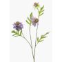 Ramo artificiale Scabiosa RUXTER, viola, 60 cm