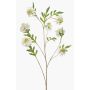 Ramo artificiale Scabiosa RUXTER, bianco, 115 cm
