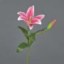 Fiore artificiale giglio tigrato MIXLON, rosa, 55 cm