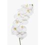 Ramo di orchidea Phalaenopsis artificiale XURI, bianco, 100 cm