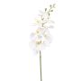 Ramo di orchidea Phalaenopsis artificiale AXELOR, bianco, 85 cm