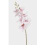 Ramo di orchidea Phalaenopsis artificiale AXELOR, bianco-rosa, 85 cm
