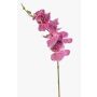 Ramo di orchidea Phalaenopsis artificiale AXELOR, rosa, 85 cm