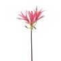 Amaryllis da giardino artificiale XAVLER, rosa, 80 cm