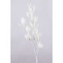 Ramo di sedum artificiale MOMOKA, bianco, 105cm