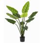 Pianta artificiale Calathea Rufibarba NUSAKAN, verde, 120 cm