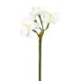 Fiore artificiale narciso VLAMOR, bianco, 40 cm