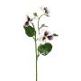 Ramo decorativo di violette FREVON, bianco-viola, 45 cm