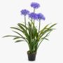 Grande pianta artificiale Agapanthus LESEDA in vaso decorativo, blu, 105 cm