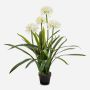 Grande pianta artificiale Agapanthus LESEDA in vaso decorativo, bianco, 105 cm