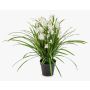 Fiore artificiale Cymbidium Orchidea JANILA in vaso decorativo, bianco, 85 cm