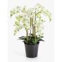 Fiore artificiale Phalaenopsis Orchidea FINEA in vaso decorativo, crema, 85 cm
