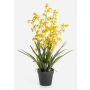 Fiore artificiale Oncidium Orchidea LAFILEA in vaso decorativo, giallo, 100 cm