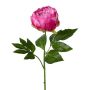 Fiore artificiale peonia SEDFY, rosa scuro, 60 cm