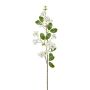 Ramo decorativo Palla di neve WANDYM, bianco, 85 cm