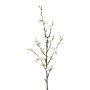 Ramo decorativo fiori di cotogno SLORNE con fiori, bianco, 85 cm