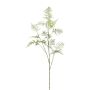 Ramo artificiale Asparagus Plumosus PLAVIN, verde, 130 cm
