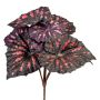 Pianta artificiale Begonia a foglia MELDINA, bastoncino, nero-rosso, 25 cm
