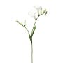 Ramo decorativo fresia FONDYL, bianco, 70 cm