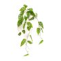 Pianta artificiale pendente Philodendron monstera adansonii RATLEV su bastoncino, 90 cm