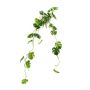 Pianta artificiale pendente filodendro monstera deliciosa GRINTO su bastoncino, 80 cm