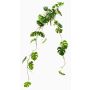 Pianta artificiale pendente filodendro monstera deliciosa GRINTO su bastoncino, 80 cm