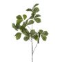 Ramo decorativo Castagno SNELOR, verde, 120 cm