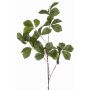 Ramo decorativo Castagno SNELOR, verde, 120 cm