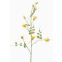 Ramo decorativo di clematide LENOMA, giallo, 115 cm