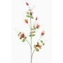 Ramo decorativo Clematis LENOMA, arancione, 115 cm