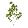 Ramo decorativo Schefflera KRUVEN, verde, 120 cm