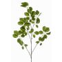 Ramo decorativo Schefflera KRUVEN, verde, 120 cm