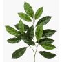 Ramo decorativo Noce BANIESA, difficilmente infiammabile, verde, 70 cm