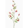 Ramo decorativo Clematis LENOMA, rosa, 115 cm