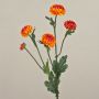 Crisantemo artificiale RYON, arancione, 70cm, Ø3-5cm