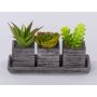 Composizione di succulente artificiali SYLVIA in vaso decorativo, verde, 19x7,5x11cm